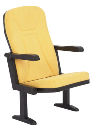 Konferans Salonu Koltuğu