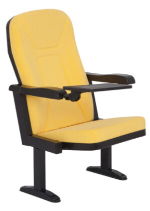 Konferans Salonu Koltuğu