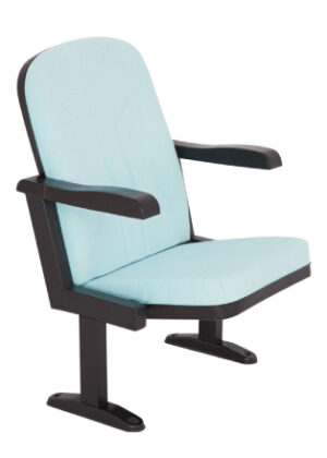 Konferans Salonu Koltuğu