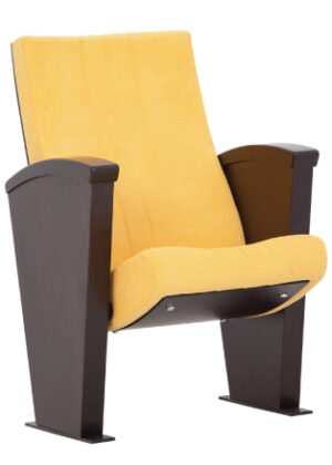 Konferans Salonu Koltuğu