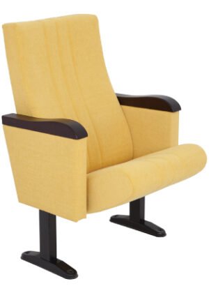 Konferans Salonu Koltuğu