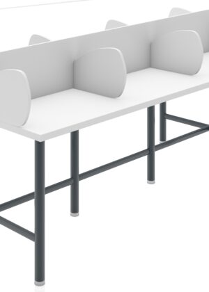 Altı Bölmeli Kütüphane Masası