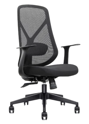 Step Ofis Büro Koltuğu AT 1011