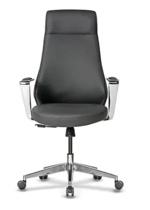 Ronda Ofis Koltuğu