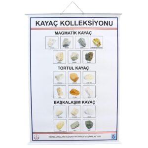 KAYAÇ KOLEKSİYON LEVHASI